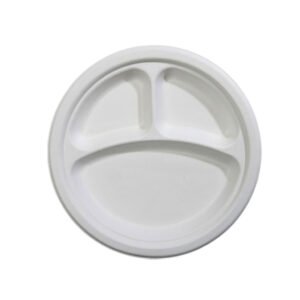 eco friendly disposable plates