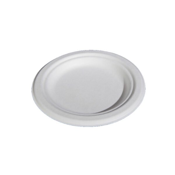 eco friendly disposable plates