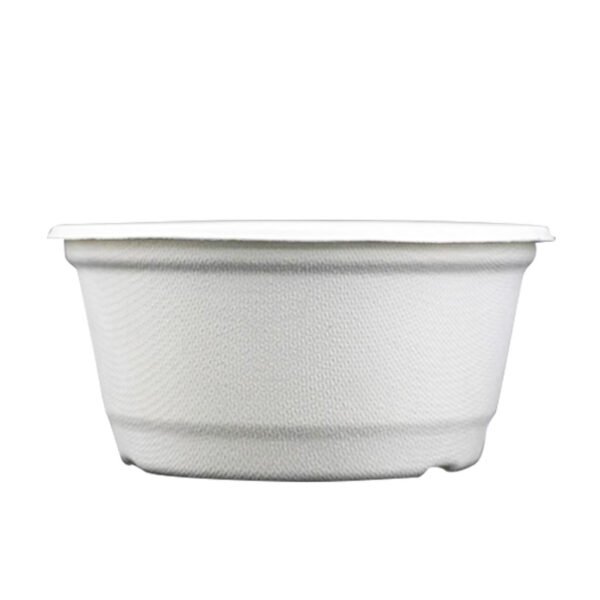 eco friendly bowls disposable